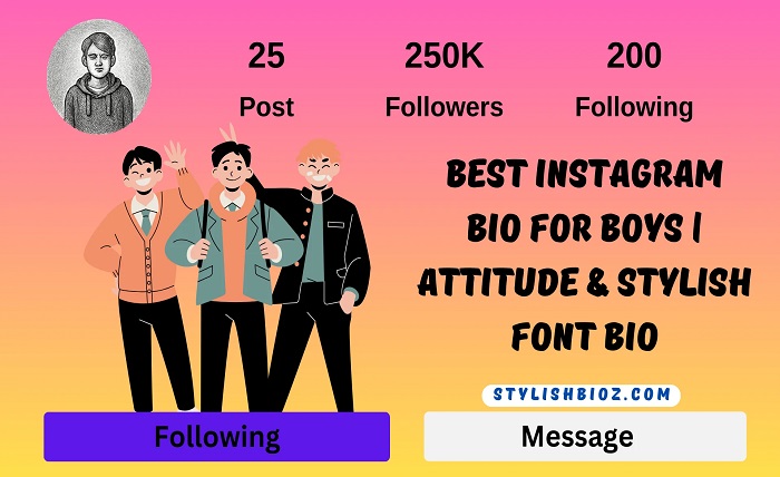 instagram boy bio